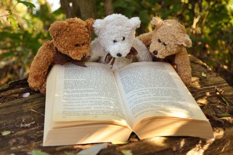 Teddy bears reading a book. 