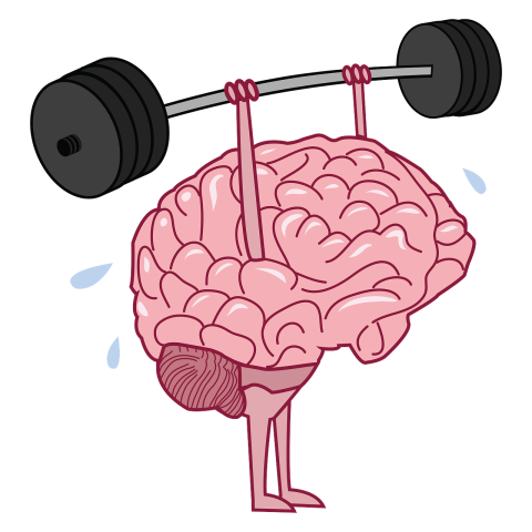 Cartoon illustration of a human brain with arms and legs lifting a weighted barbell overhead.