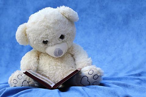 A white, sitting teddy bear holding an open book on a blue background.