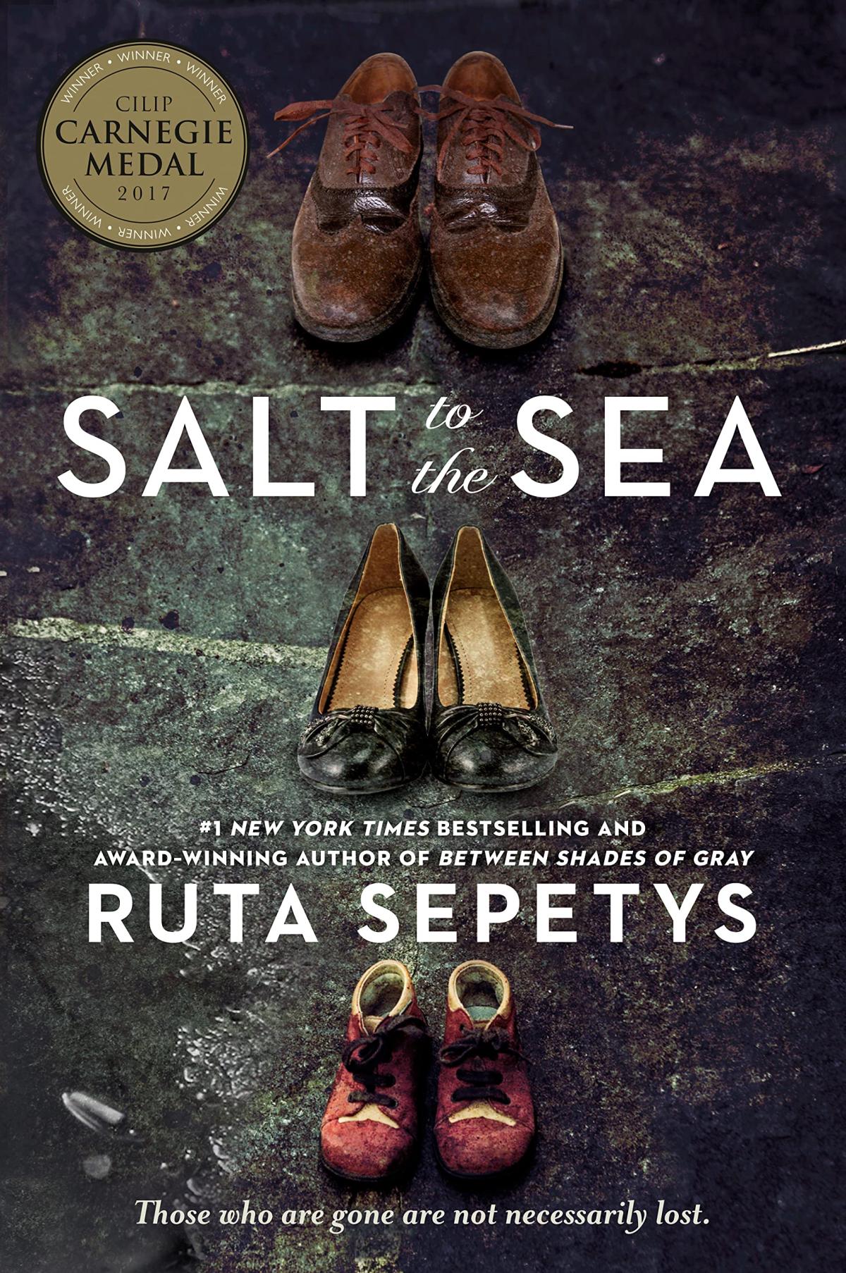 Book cover with an image of three pairs of shoes in varying sizes.