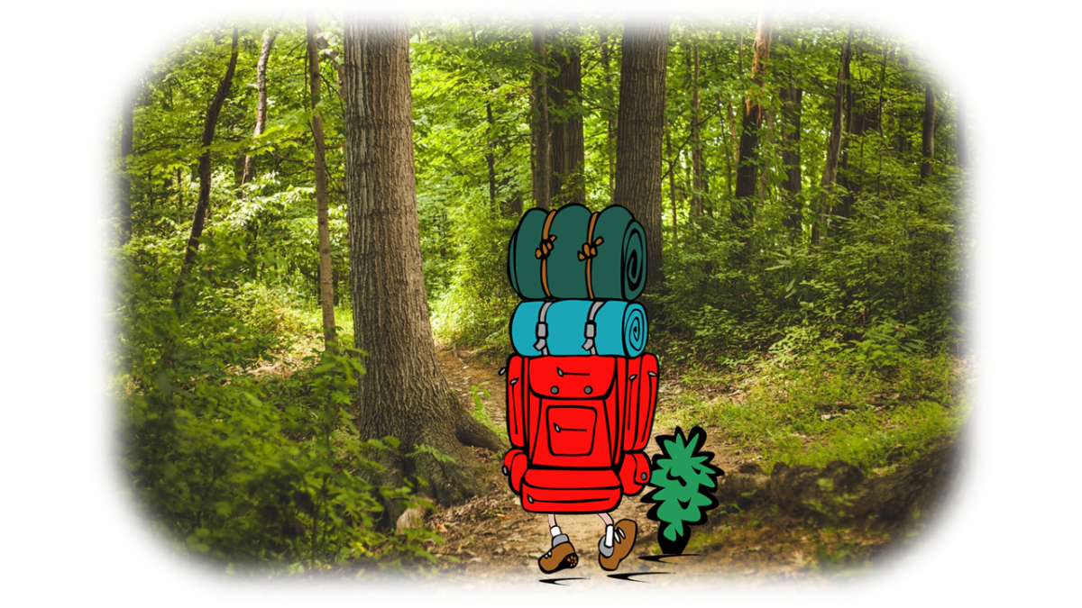 Cartoon camper with backpack hiking in a forest