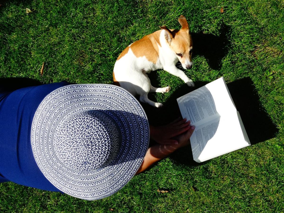 Person in a blue hat laying in the grass reading next to a brown and white dog.